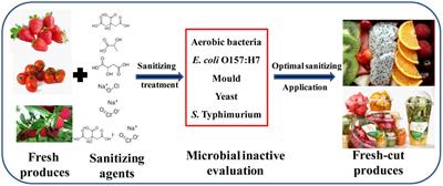 Evaluation of <mark class="highlighted">Sanitizing</mark> Methods for Reducing Microbial Contamination on Fresh Strawberry, Cherry Tomato, and Red Bayberry